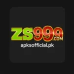 ZS999 Game