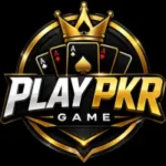 Golden and silver PLAYPKR Game logo with a royal crown, poker cards, and metallic 3D gaming emblem on a black background.