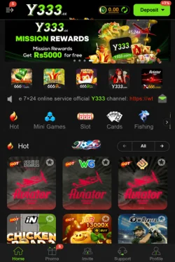 Y333 Game