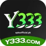 Y333 Game